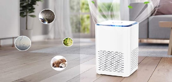 Máy lọc không khí và tạo ẩm tốt nhất giúp tăng cường sức khỏe 2024