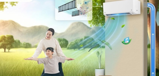 Vai trò của không khí là gì? Cách cải thiện chất lượng không khí