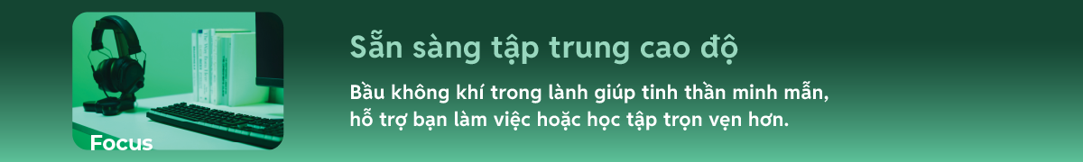 Focus &ndash; Sẵn s&agrave;ng tập trung cao độ