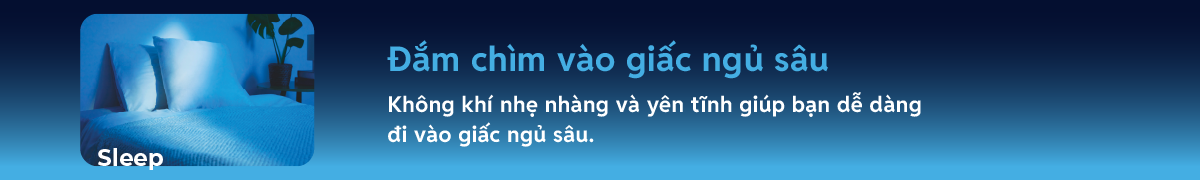 Sleep &ndash; Đắm ch&igrave;m v&agrave;o giấc ngủ s&acirc;u